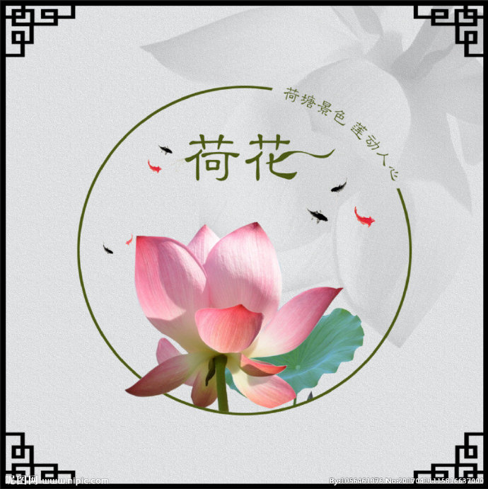 G荷花背景背景墙