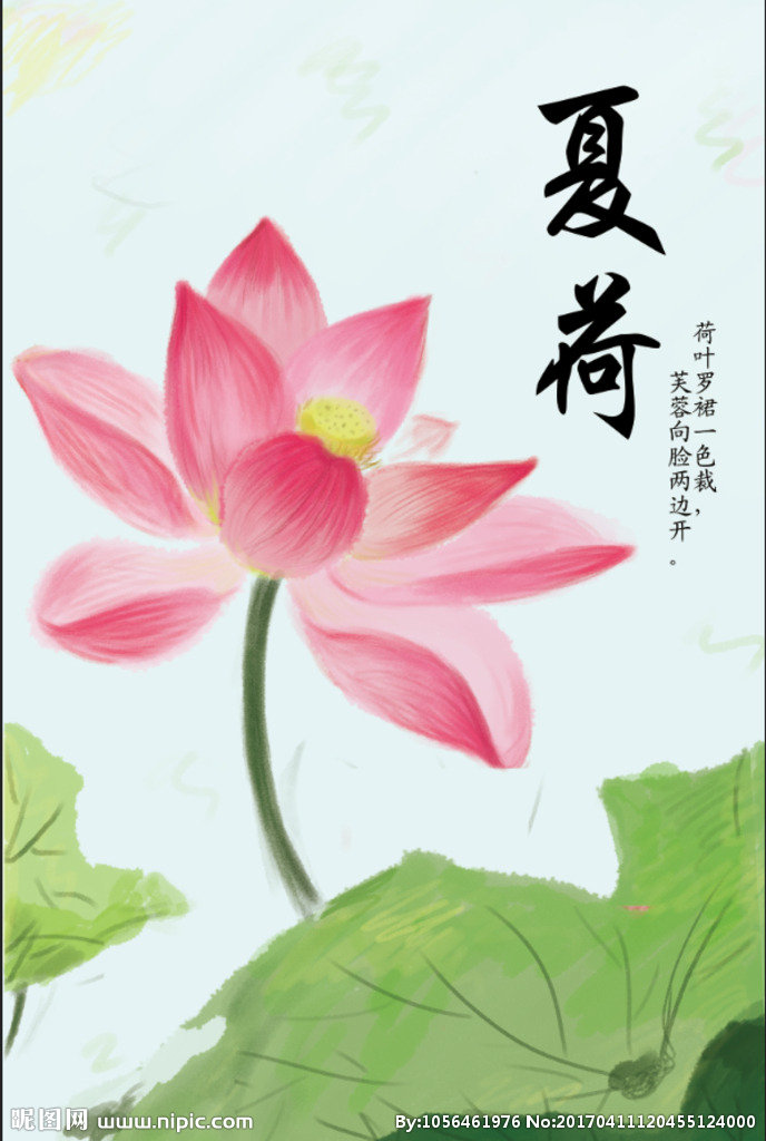 G夏荷背景墙夏荷