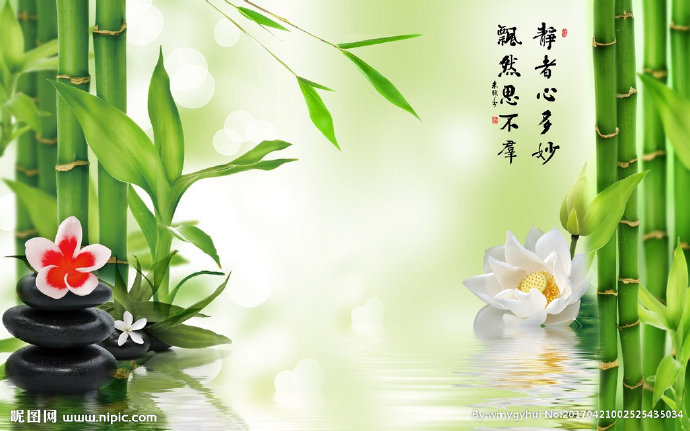 G3D立体竹子兰