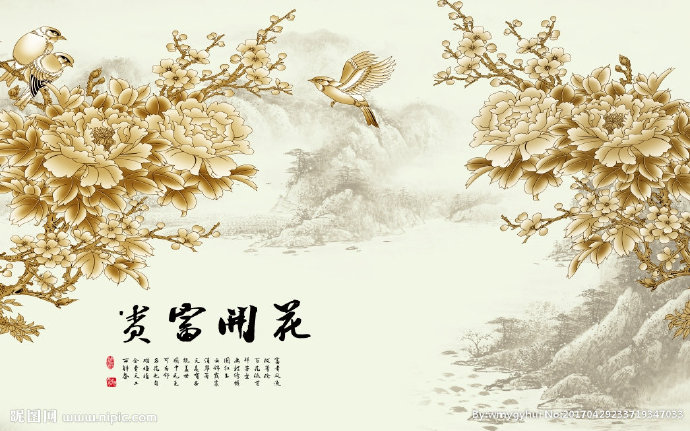 G花开富贵牡丹花