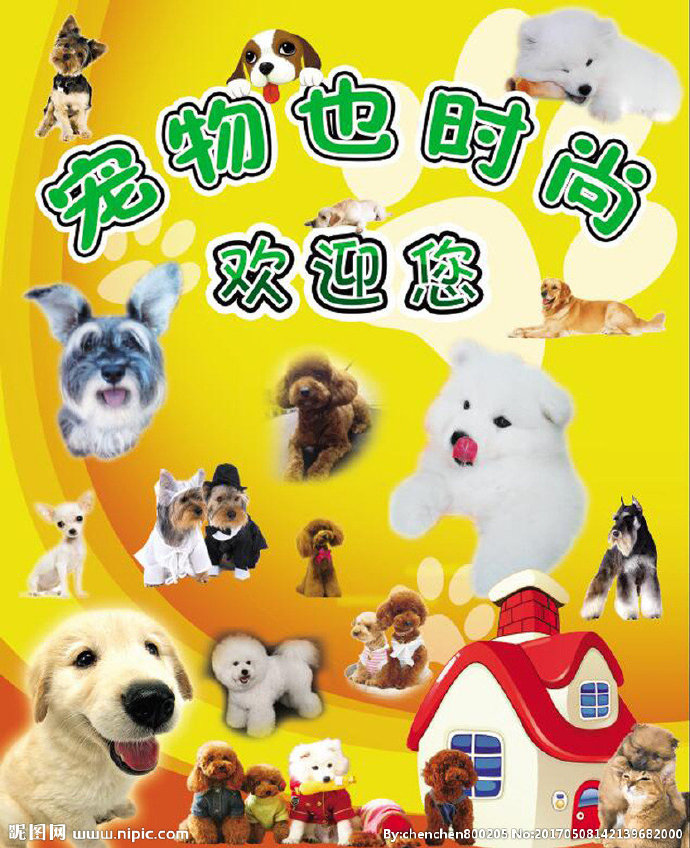 G宠物店背景墙背