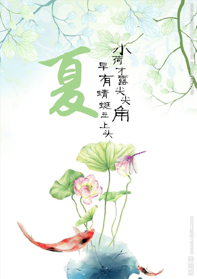 G荷花背景墙莲花