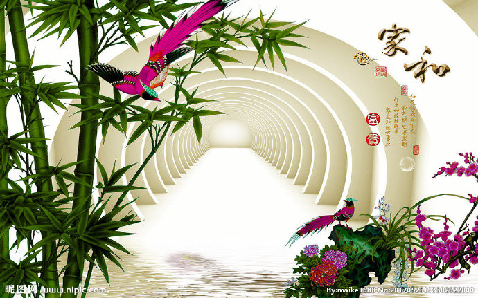 G家和富贵竹子花