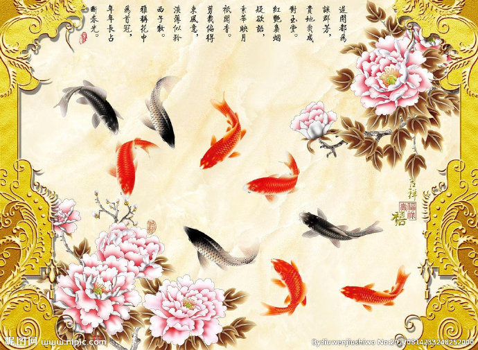 G牡丹花鲤鱼电视