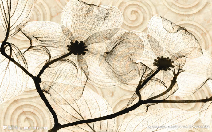 G复古花纹螺旋背