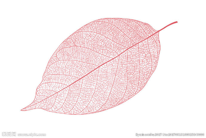 G树叶纹理背景墙