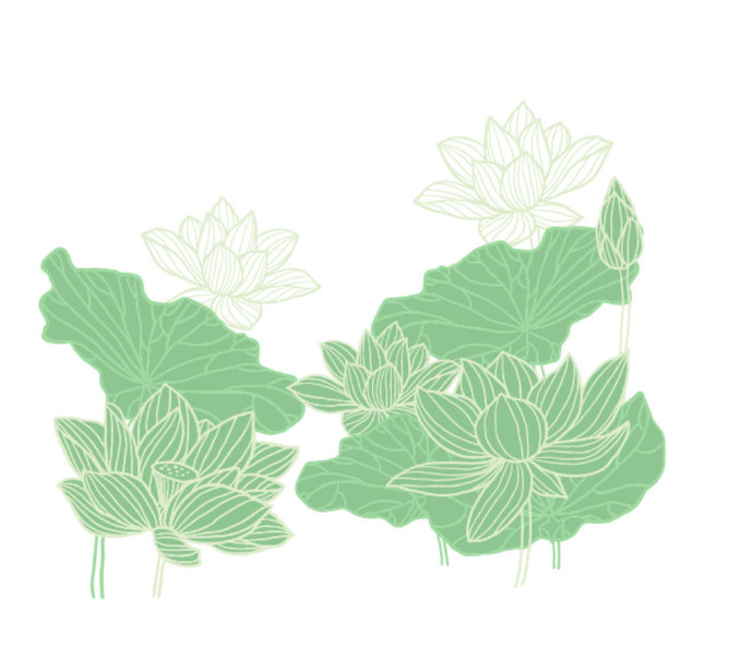 G荷花背景墙莲花