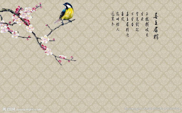G喜梅红梅梅花软