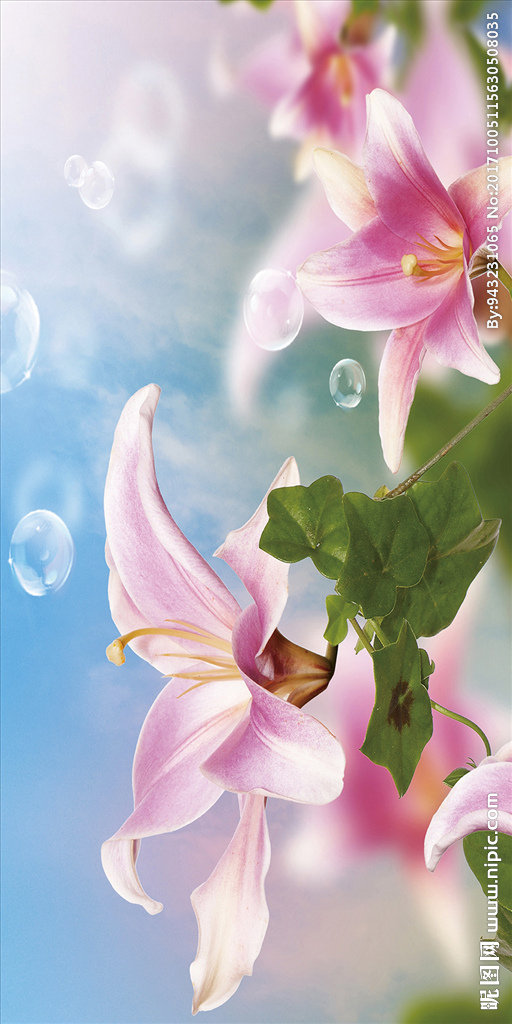 G梦幻花玄关梦幻