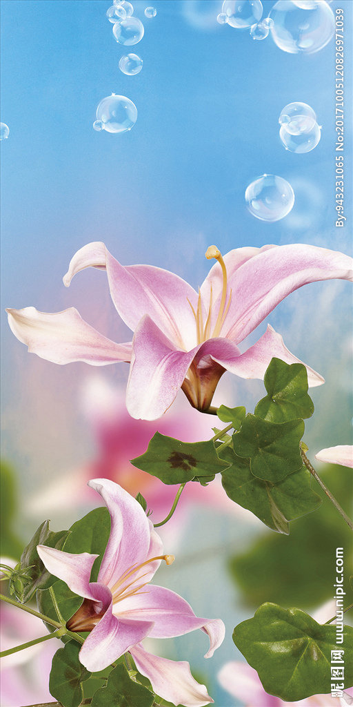 G梦幻花玄关梦幻