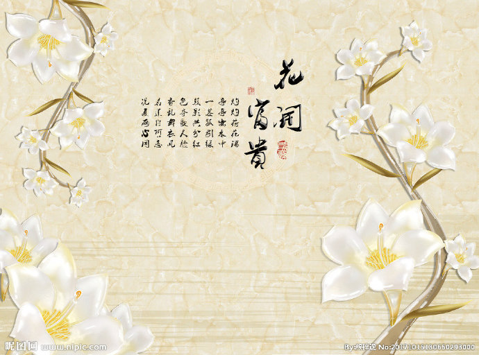 G花开富贵玉兰花