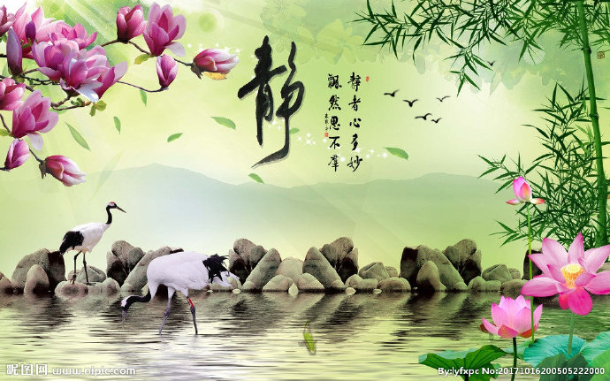 G荷花电视背景墙
