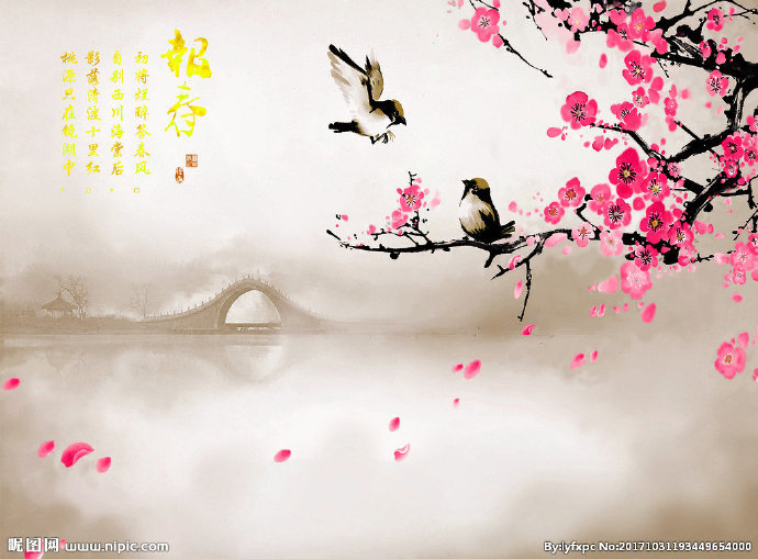 G中国风水墨梅花
