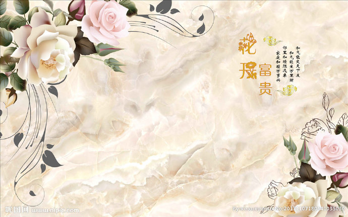 G花开富贵背景墙