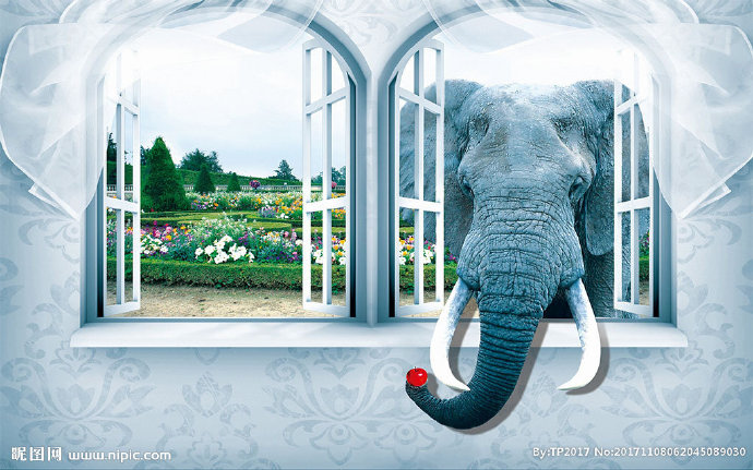 G3d窗户大象背