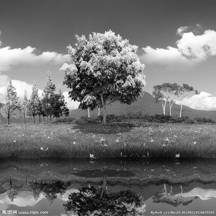 G灰色大树背景墙