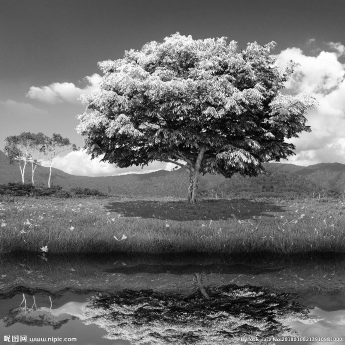 G黑白树背景墙黑