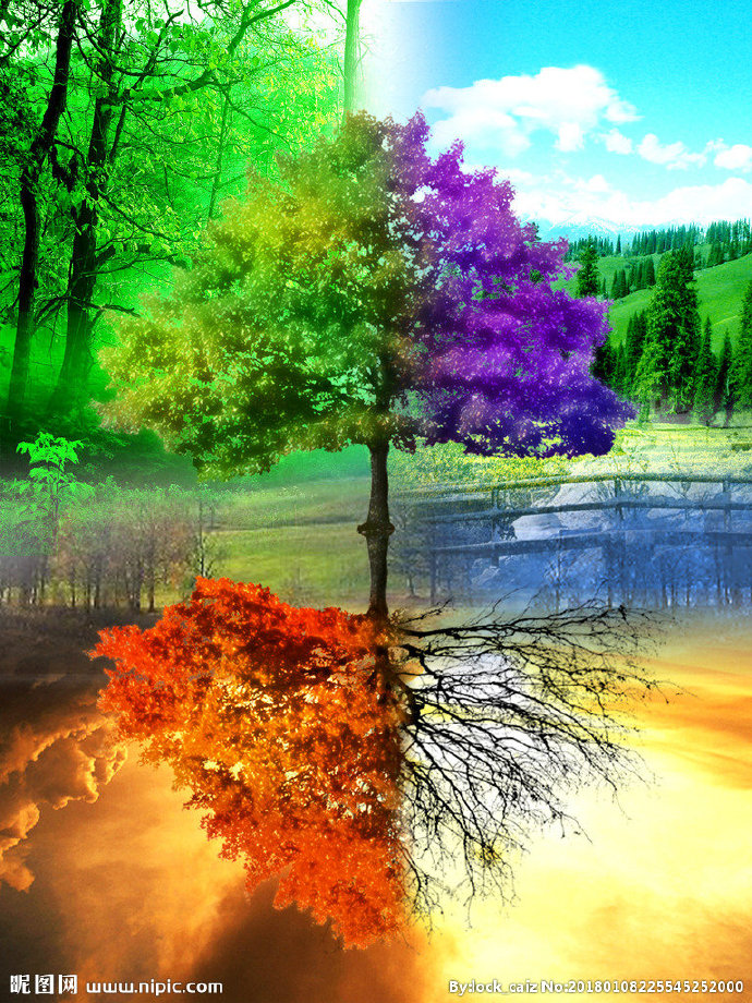 G彩色树背景墙彩