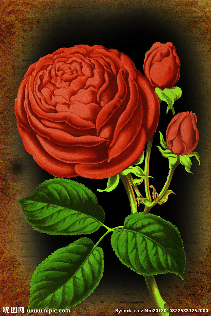 G复古花卉背景墙