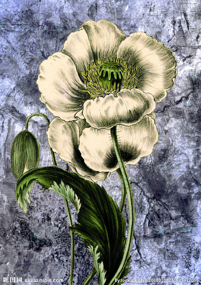 G复古花卉背景墙