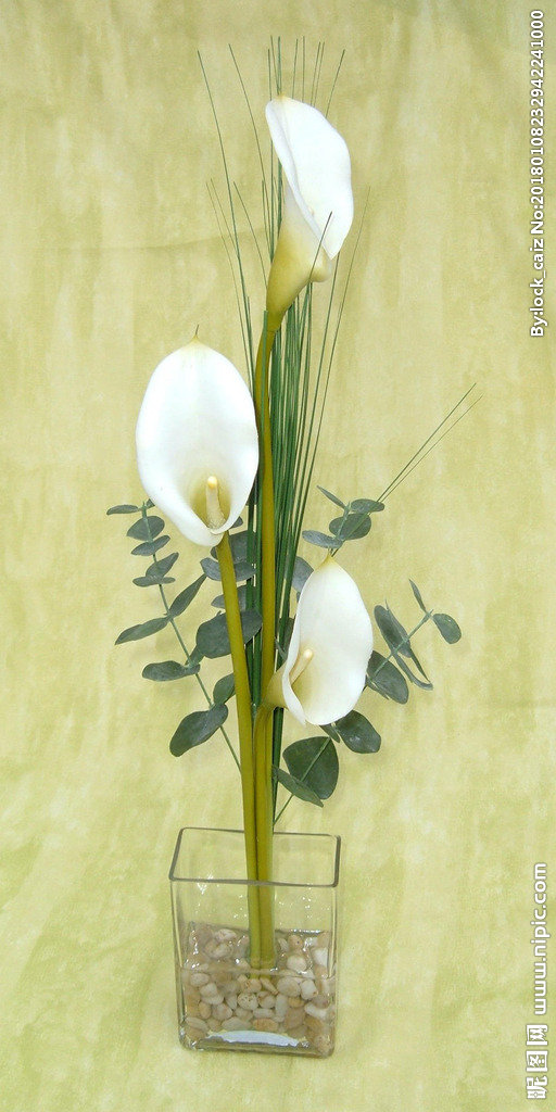 G油画白花装饰画