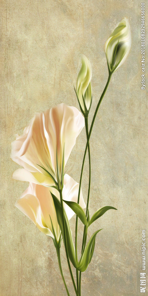 G油画白花装饰画
