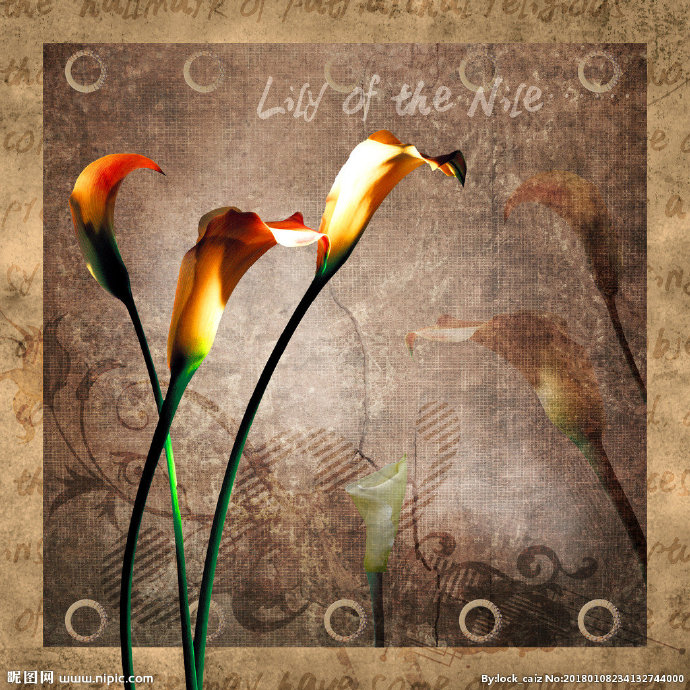 G复古单花背景墙