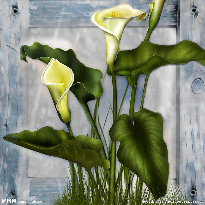 G复古花卉背景墙