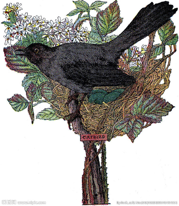 G复古鸟类装饰画