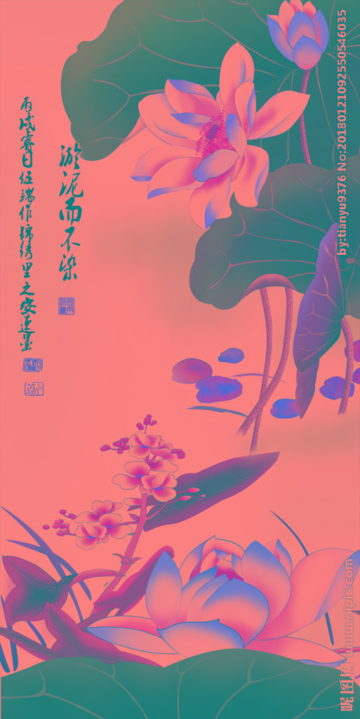 G荷花玄关莲花荷