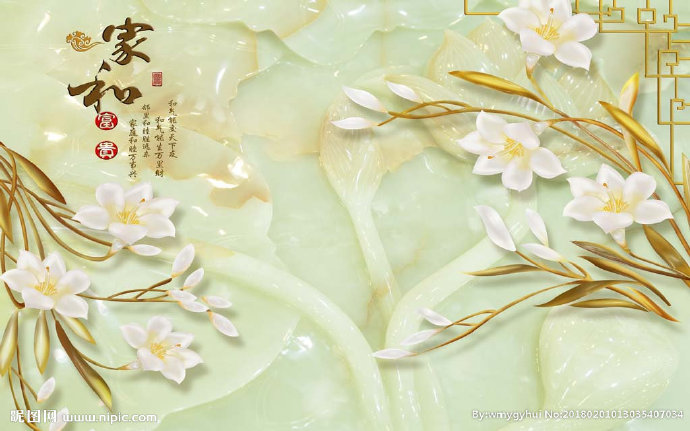G家和富贵玉兰花