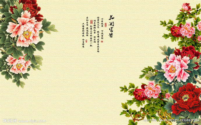G花开富贵背景墙