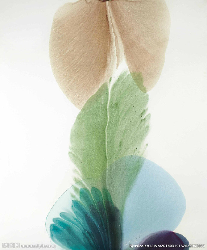 G抽象花卉 装饰