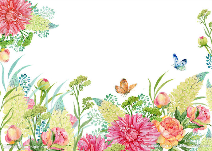 G水彩 花鸟背景