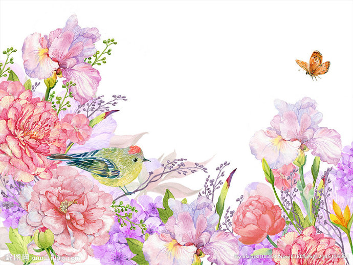 G水彩 花鸟背景