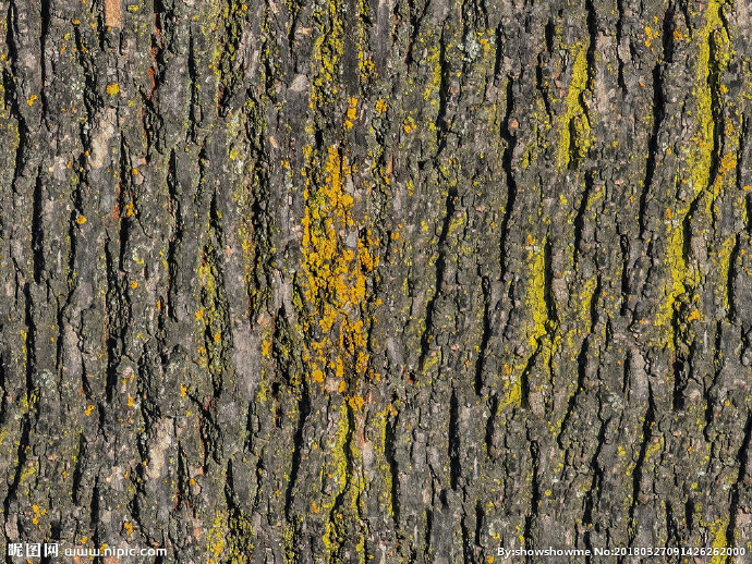 G树皮背景墙树皮