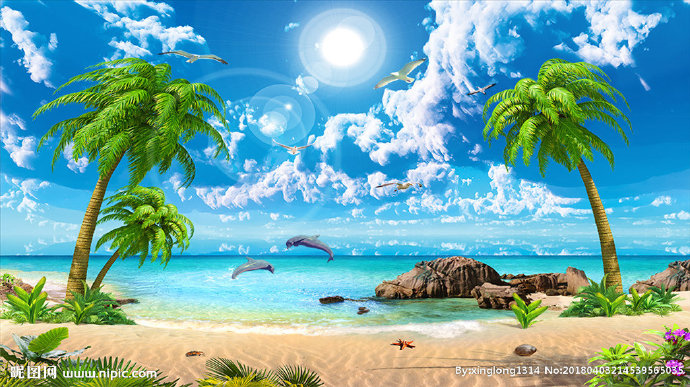 G椰子树海豚背景