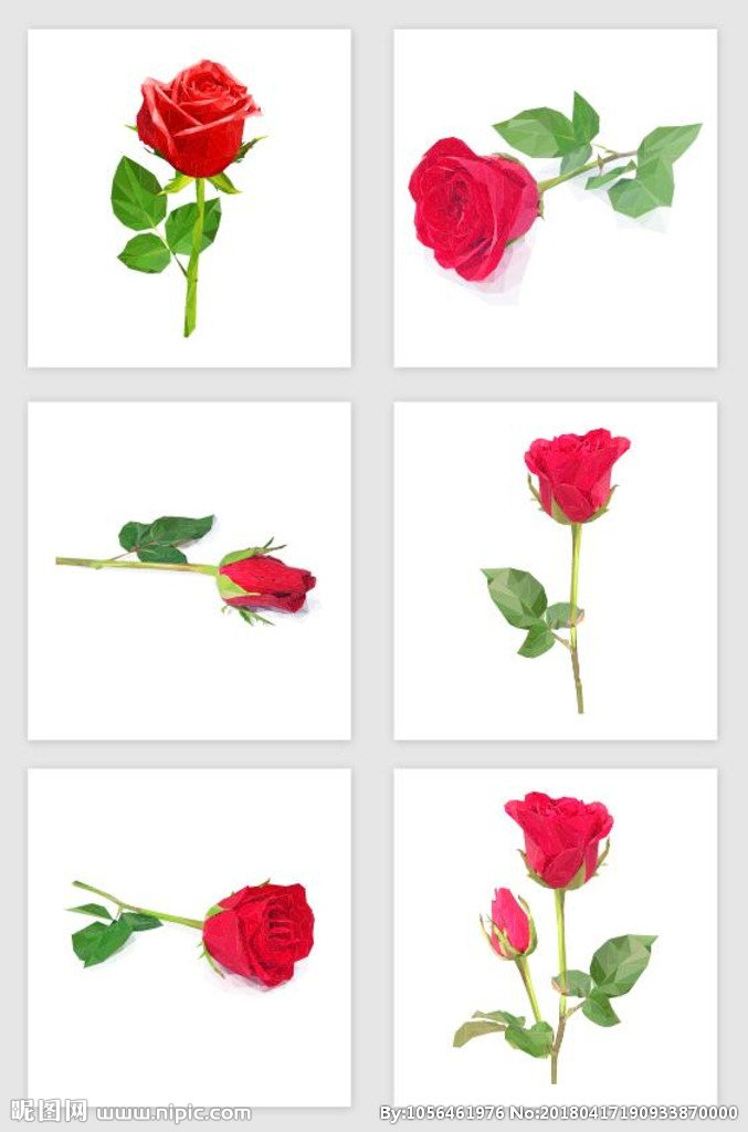 G玫瑰花背景墙玫