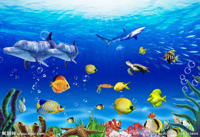G海底世界 海洋