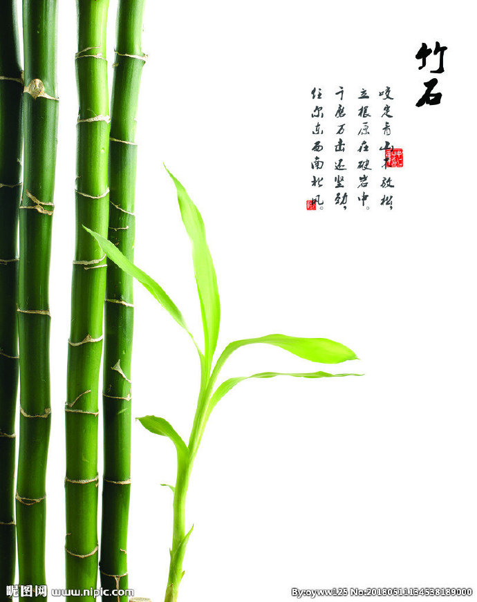 G竹子 树叶 移