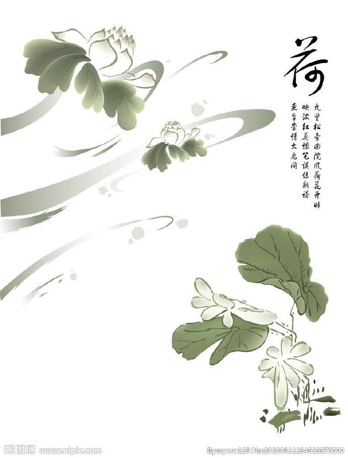 G荷花 莲花背景