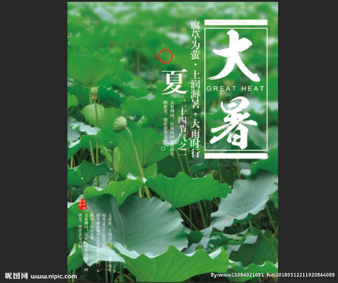 G大暑荷叶背景墙