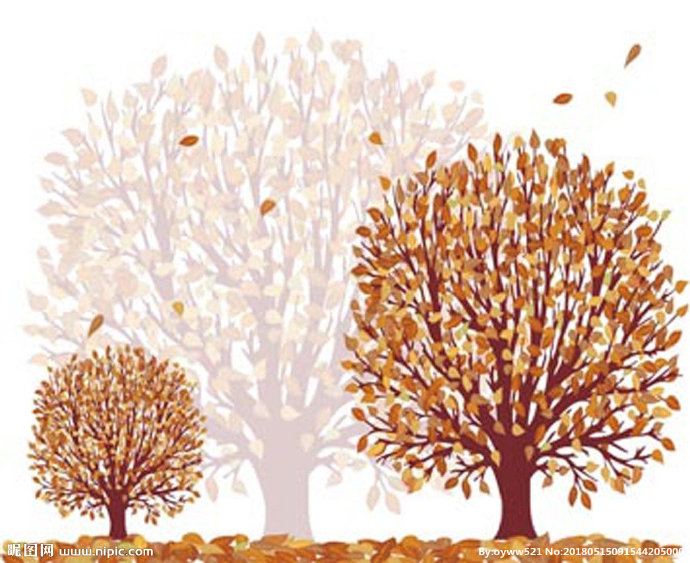 G树 花边花纹背