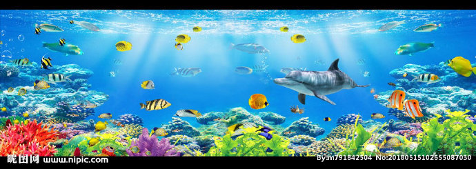 G海洋世界海底世