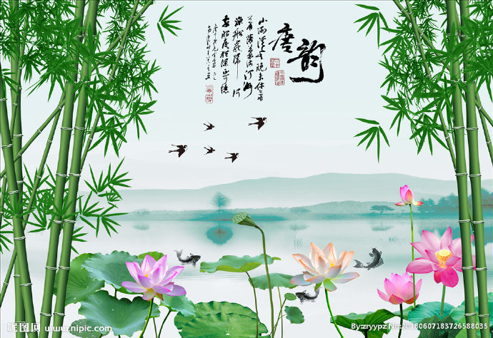 G竹子 荷花 背