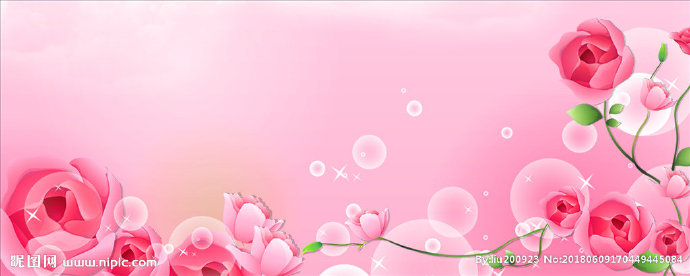 G玫瑰花背景墙玫