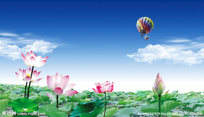 G荷花背景墙背景