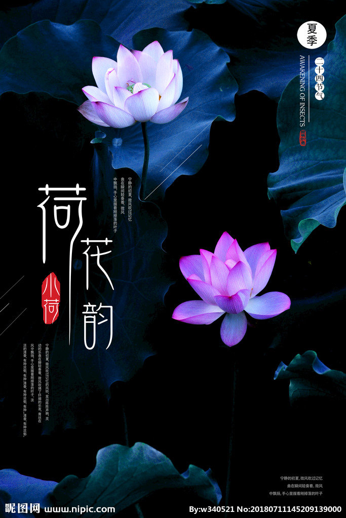 G荷花韵背景墙莲