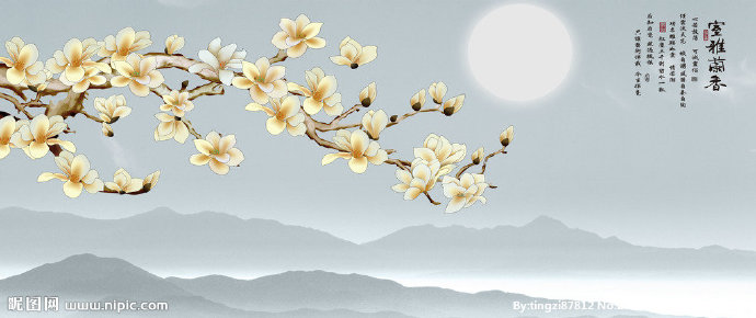 G室雅兰香兰花山