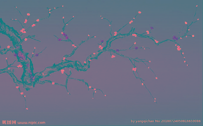 G中式花鸟背景墙